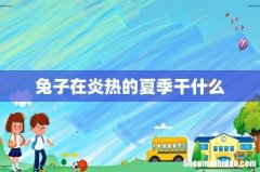 兔子在炎热的夏季干什么