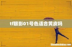 tf眼影01号色适合黄皮吗