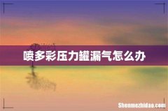 喷多彩压力罐漏气怎么办