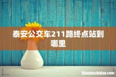 泰安公交车211路终点站到哪里
