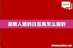 湖南人晒的白豆角怎么做的
