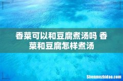 香菜可以和豆腐煮汤吗 香菜和豆腐怎样煮汤
