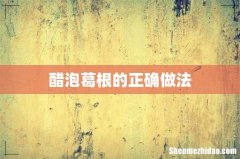 醋泡葛根的正确做法