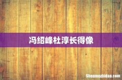 冯绍峰杜淳长得像