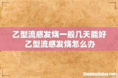 乙型流感发烧一般几天能好 乙型流感发烧怎么办