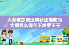 大蒜被冻成透明状还能吃吗 大蒜怎么保存不发芽不干瘪