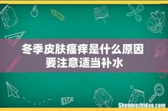 冬季皮肤瘙痒是什么原因 要注意适当补水
