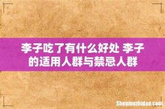 李子吃了有什么好处 李子的适用人群与禁忌人群