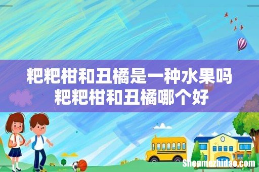 粑粑柑和丑橘是一种水果吗 粑粑柑和丑橘哪个好