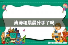 涛涛和晨晨分手了吗