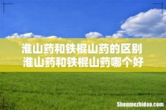 淮山药和铁棍山药的区别 淮山药和铁棍山药哪个好