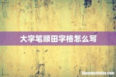 大字笔顺田字格怎么写