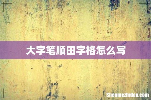 大字笔顺田字格怎么写