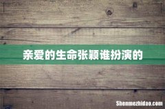 亲爱的生命张颖谁扮演的