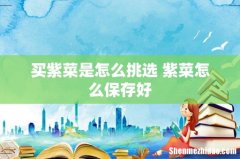 买紫菜是怎么挑选 紫菜怎么保存好