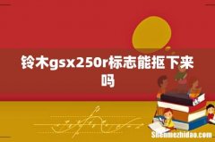 铃木gsx250r标志能抠下来吗