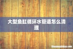 大型鱼缸循环水管道怎么清理