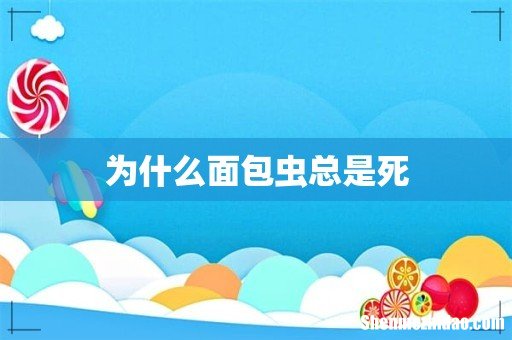 为什么面包虫总是死
