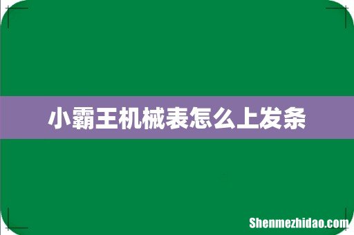 小霸王机械表怎么上发条