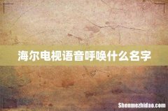 海尔电视语音呼唤什么名字