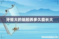 牙签大的蚯蚓养多久能长大