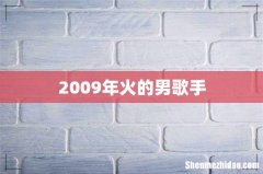 2009年火的男歌手