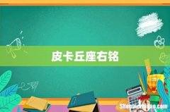 皮卡丘座右铭