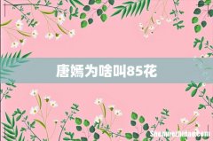 唐嫣为啥叫85花