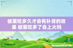 板栗吃多久才会有补肾的效果 板栗吃多了会上火吗