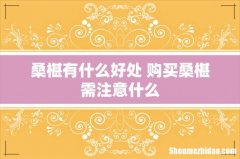 桑椹有什么好处 购买桑椹需注意什么