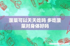 菠菜可以天天吃吗 多吃菠菜对身体好吗
