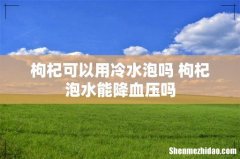 枸杞可以用冷水泡吗 枸杞泡水能降血压吗