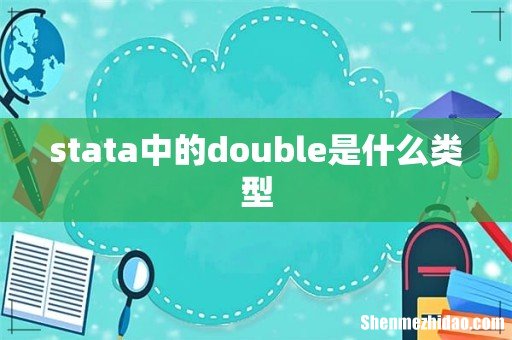 stata中的double是什么类型