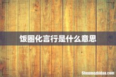 饭圈化言行是什么意思
