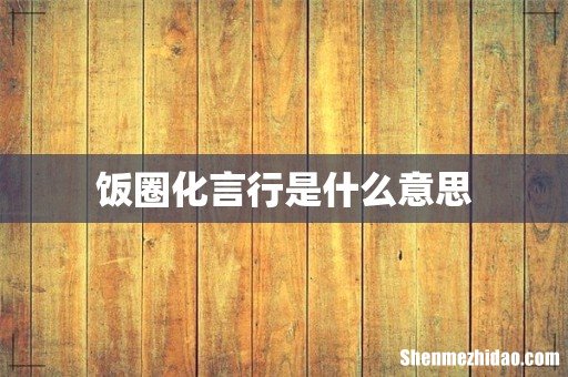 饭圈化言行是什么意思