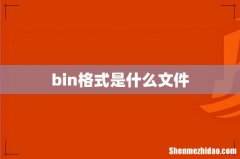 bin格式是什么文件