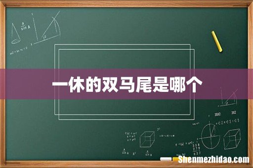 一休的双马尾是哪个