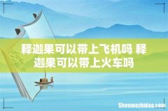 释迦果可以带上飞机吗 释迦果可以带上火车吗