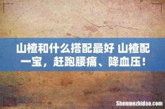 山楂和什么搭配最好 山楂配一宝，赶跑腰痛、降血压！