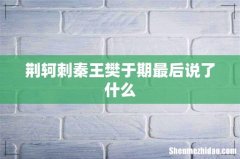 荆轲刺秦王樊于期最后说了什么
