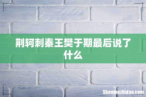 荆轲刺秦王樊于期最后说了什么