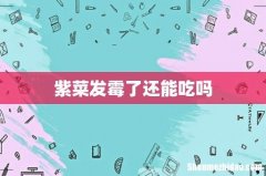 紫菜发霉了还能吃吗