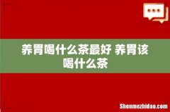养胃喝什么茶最好 养胃该喝什么茶