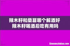 辣木籽和桑葚哪个解酒好 辣木籽喝酒后吃有用吗