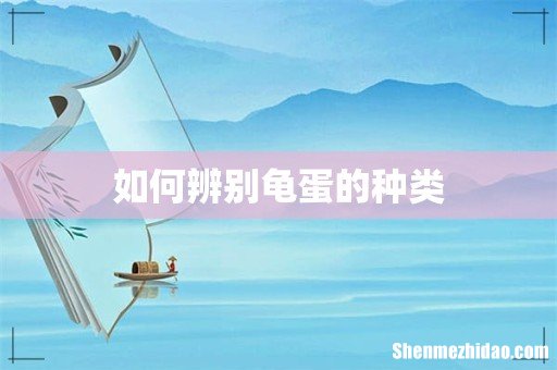 如何辨别龟蛋的种类