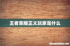 王者荣耀正义玩家是什么