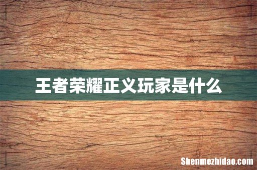 王者荣耀正义玩家是什么