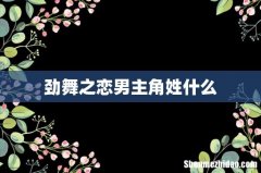 劲舞之恋男主角姓什么