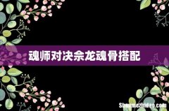 魂师对决佘龙魂骨搭配