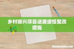 乡村振兴项目进展缓慢整改措施